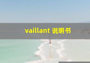 vaillant 说明书